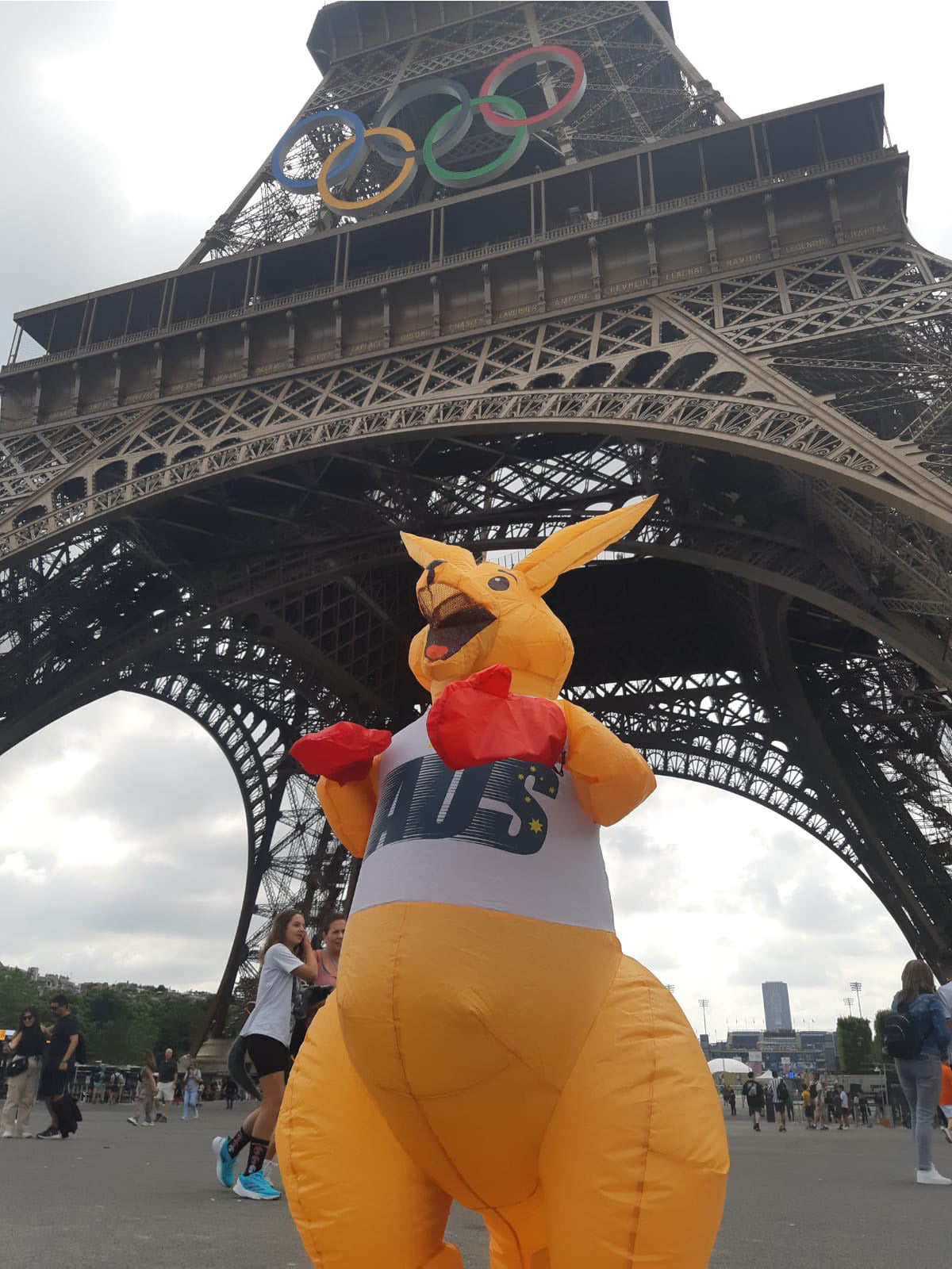 Boxing Kangaroo Inflatable Costume, Adult