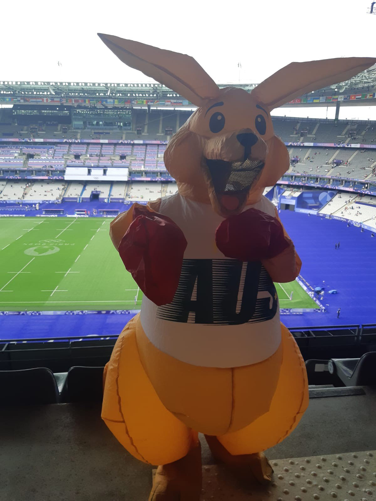 Boxing Kangaroo Inflatable Costume, Adult