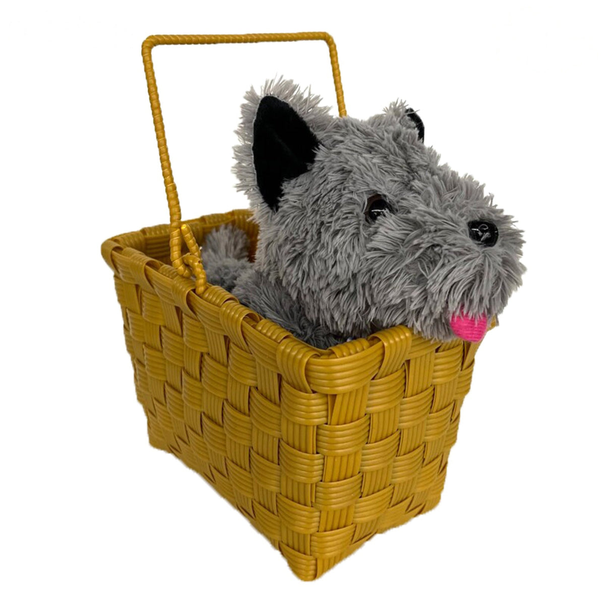 Toto In A Basket