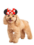 Apricot dog wearing the Minnie Mouse pet headpiece with black ears and red polka dot bow