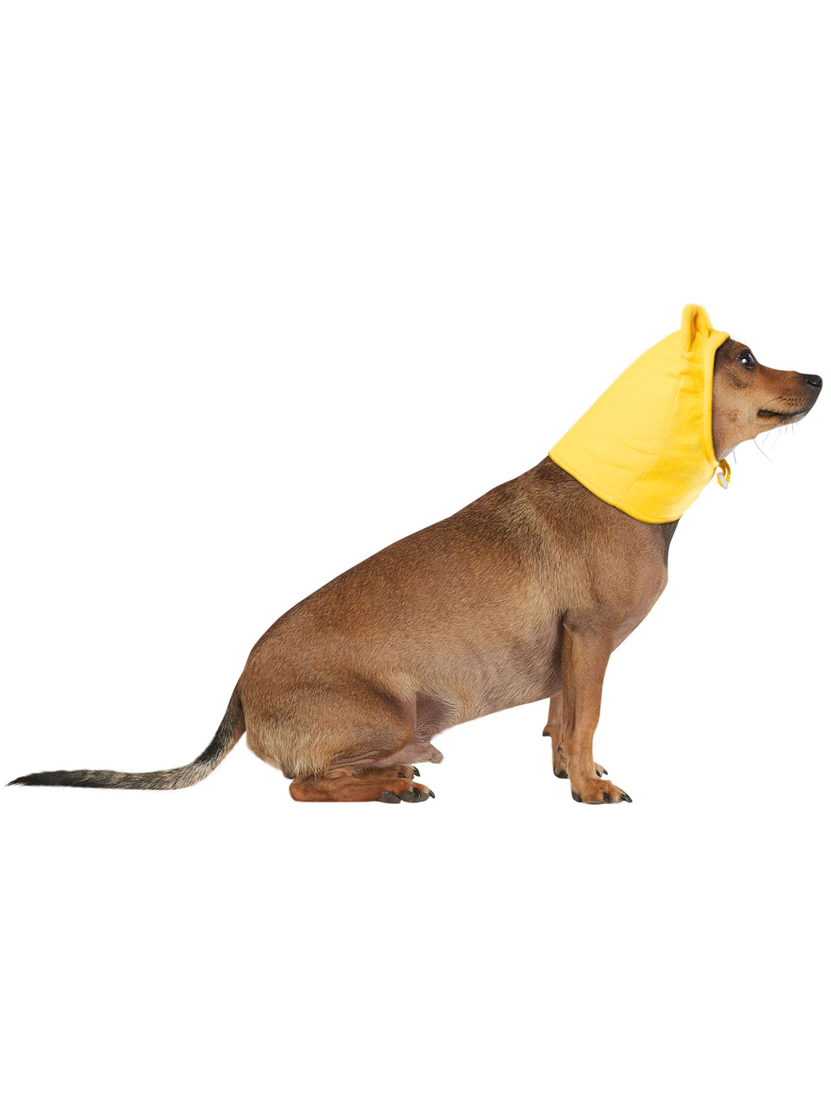 Winnie The Pooh Pet Hood