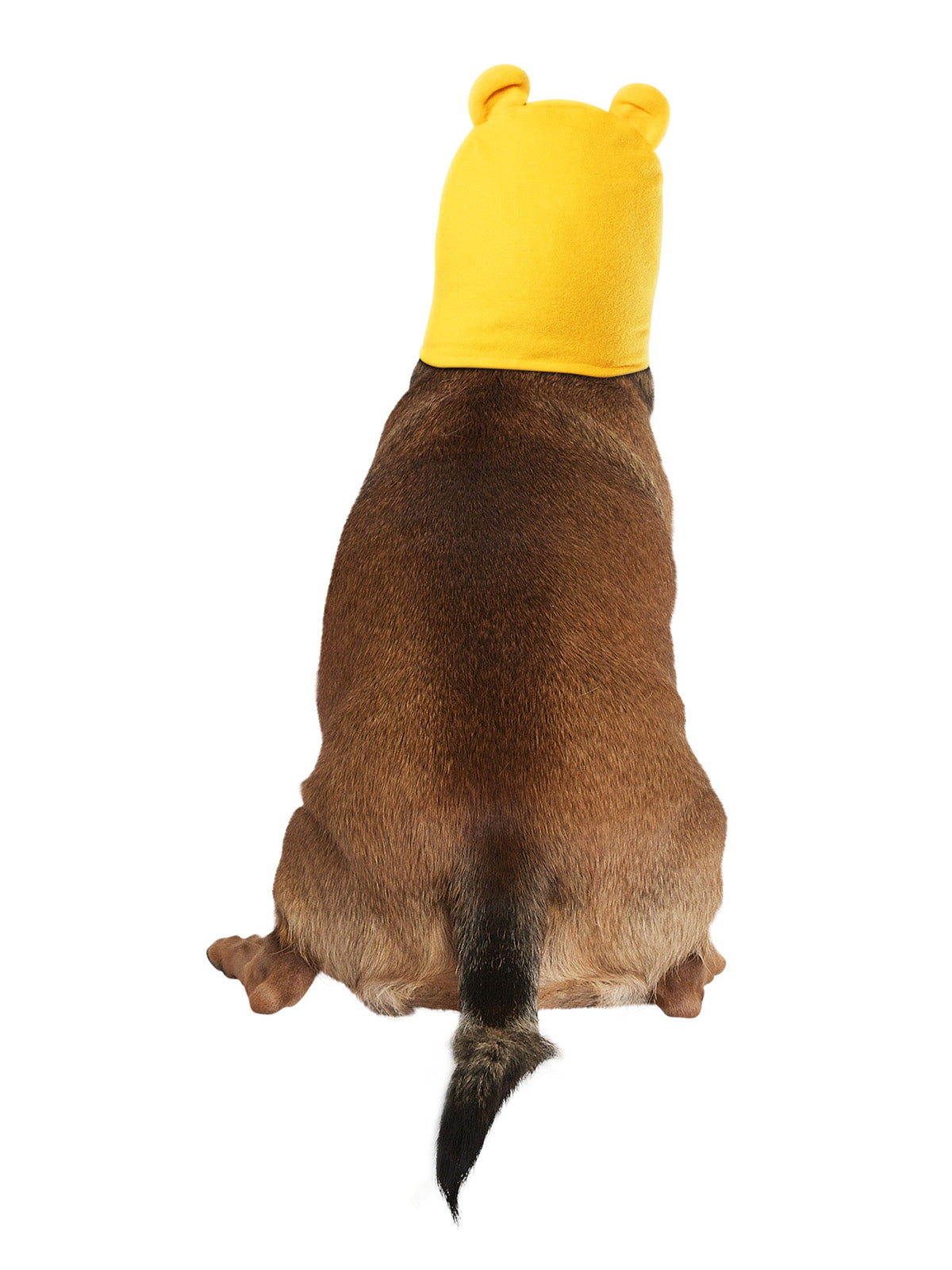 Winnie The Pooh Pet Hood