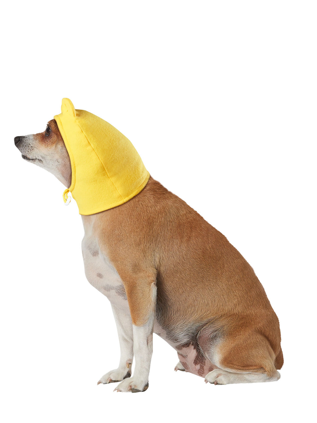 Winnie The Pooh Pet Hood