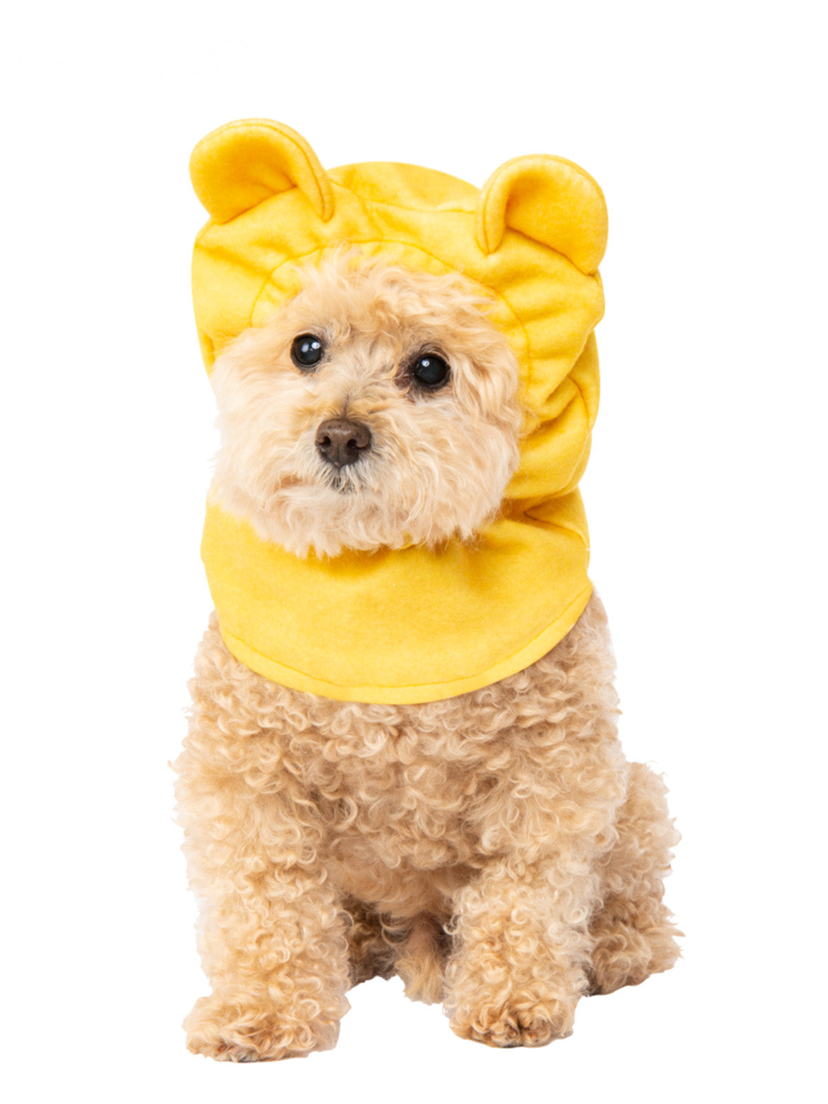 Winnie The Pooh Pet Hood