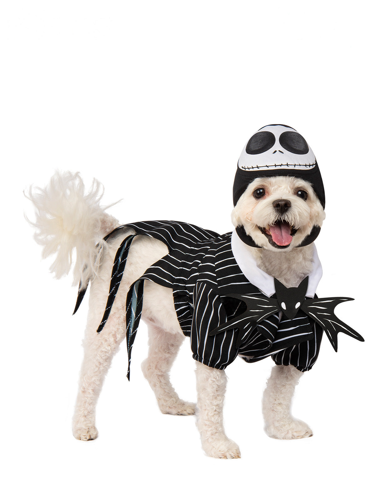 Jack Skellington Pet Costume