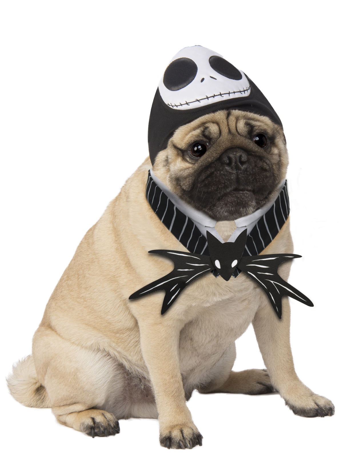 Pug wearing the Jack Skellington pet headpiece with skeleton face and bat bow tie collar