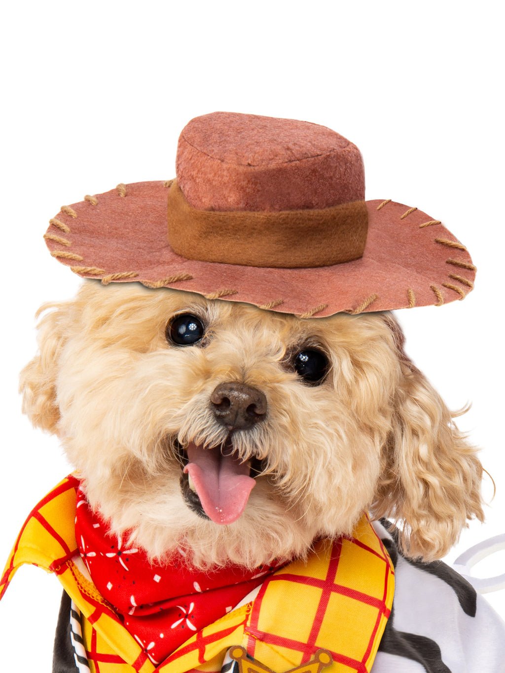 Close-up of a dog wearing the Woody pet cowboy hat and red kerchief
