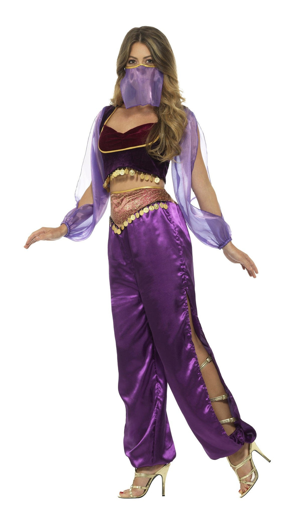 Side of Arabian Princess Costume