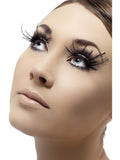 Close-up of black false eyelashes with feather plumes