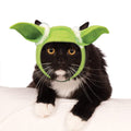 Cat wearing green Yoda ears on a headband