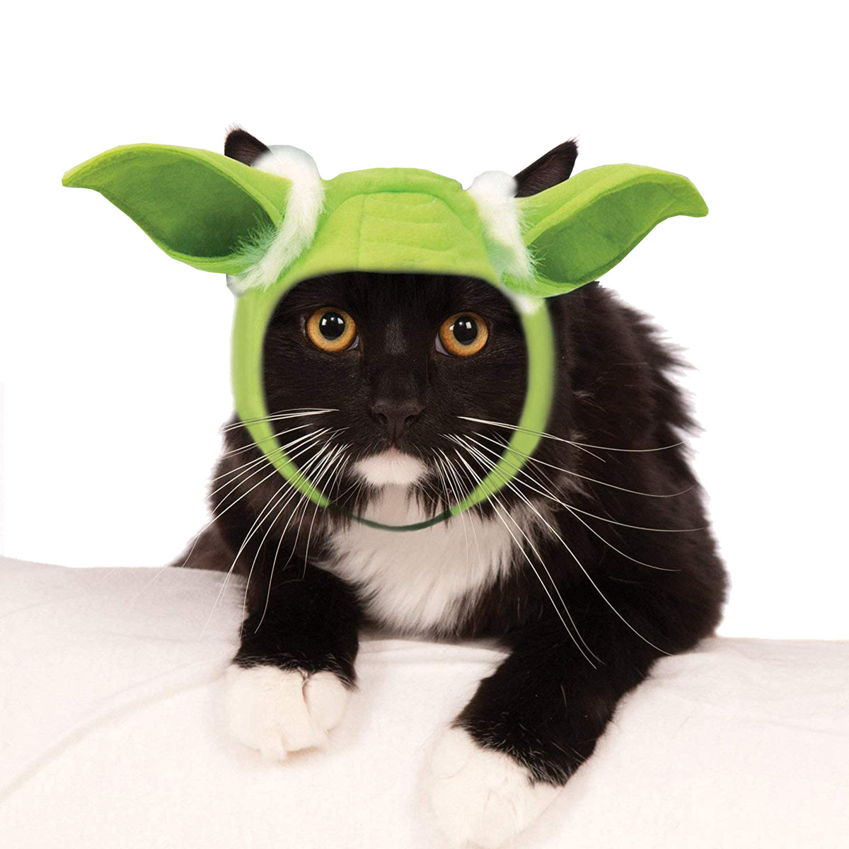 Cat wearing green Yoda ears on a headband
