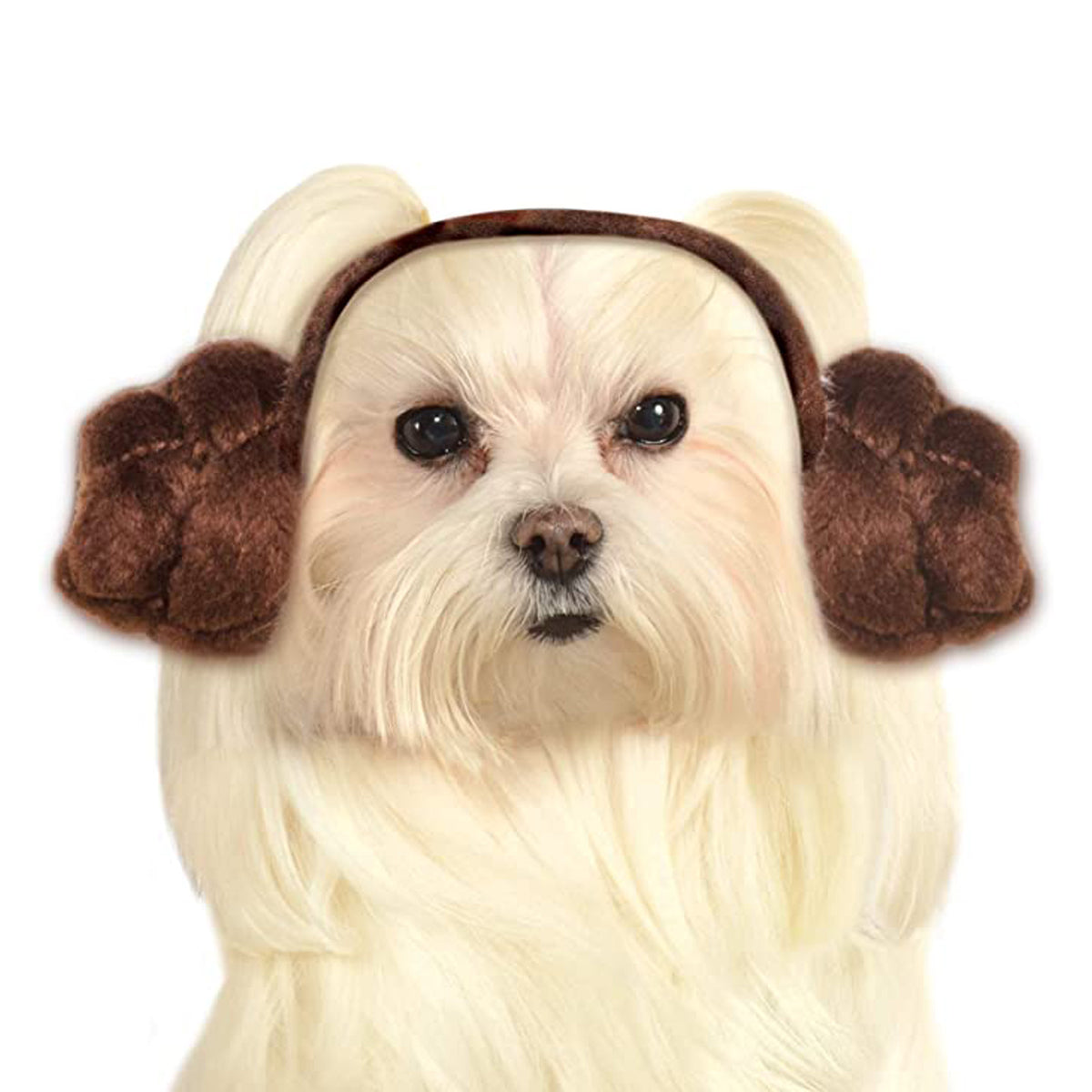Small dog wearing the Princess Leia buns pet headband