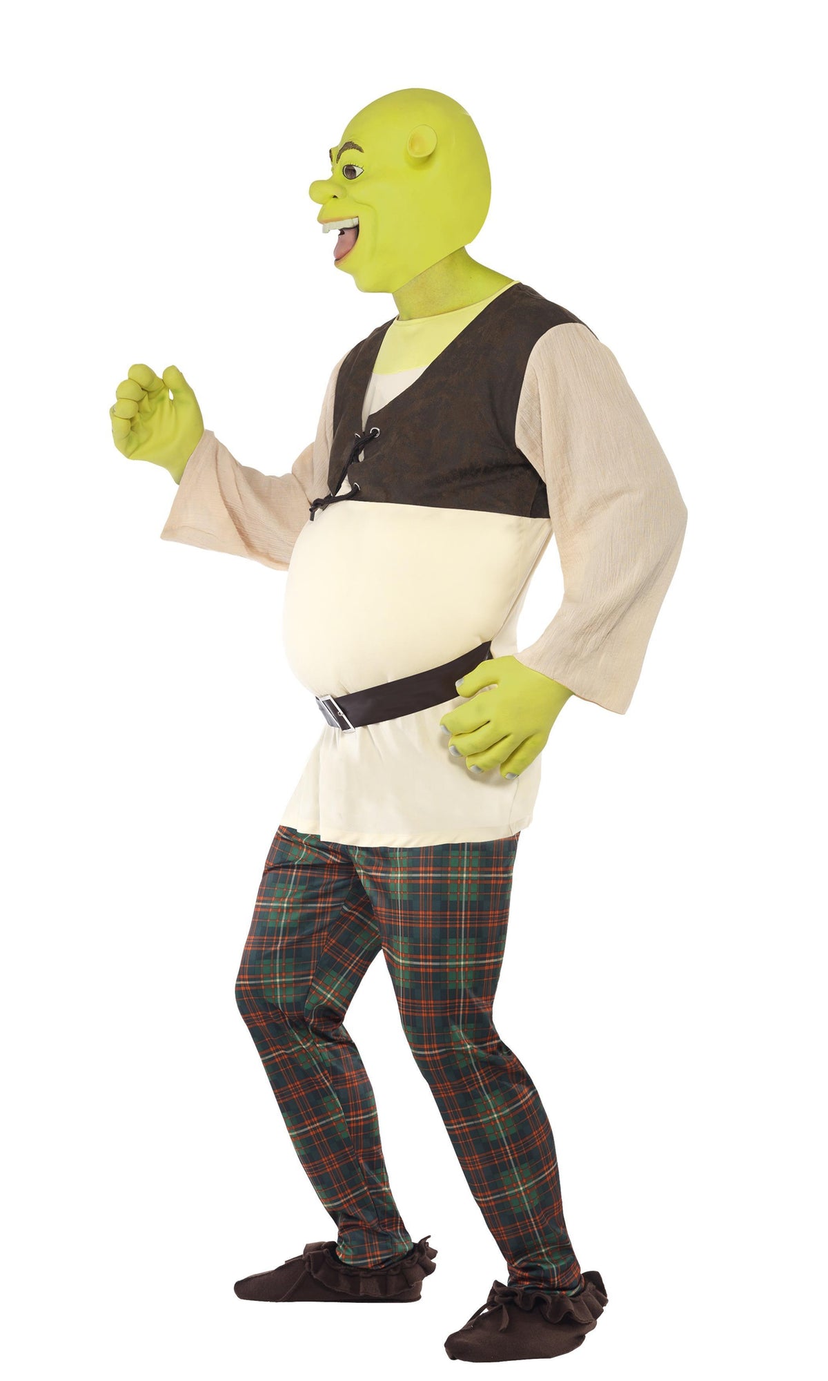 Shrek Costume, Adult
