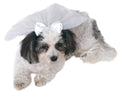 Small dog wearing the white taffeta pet wedding veil with satin bow