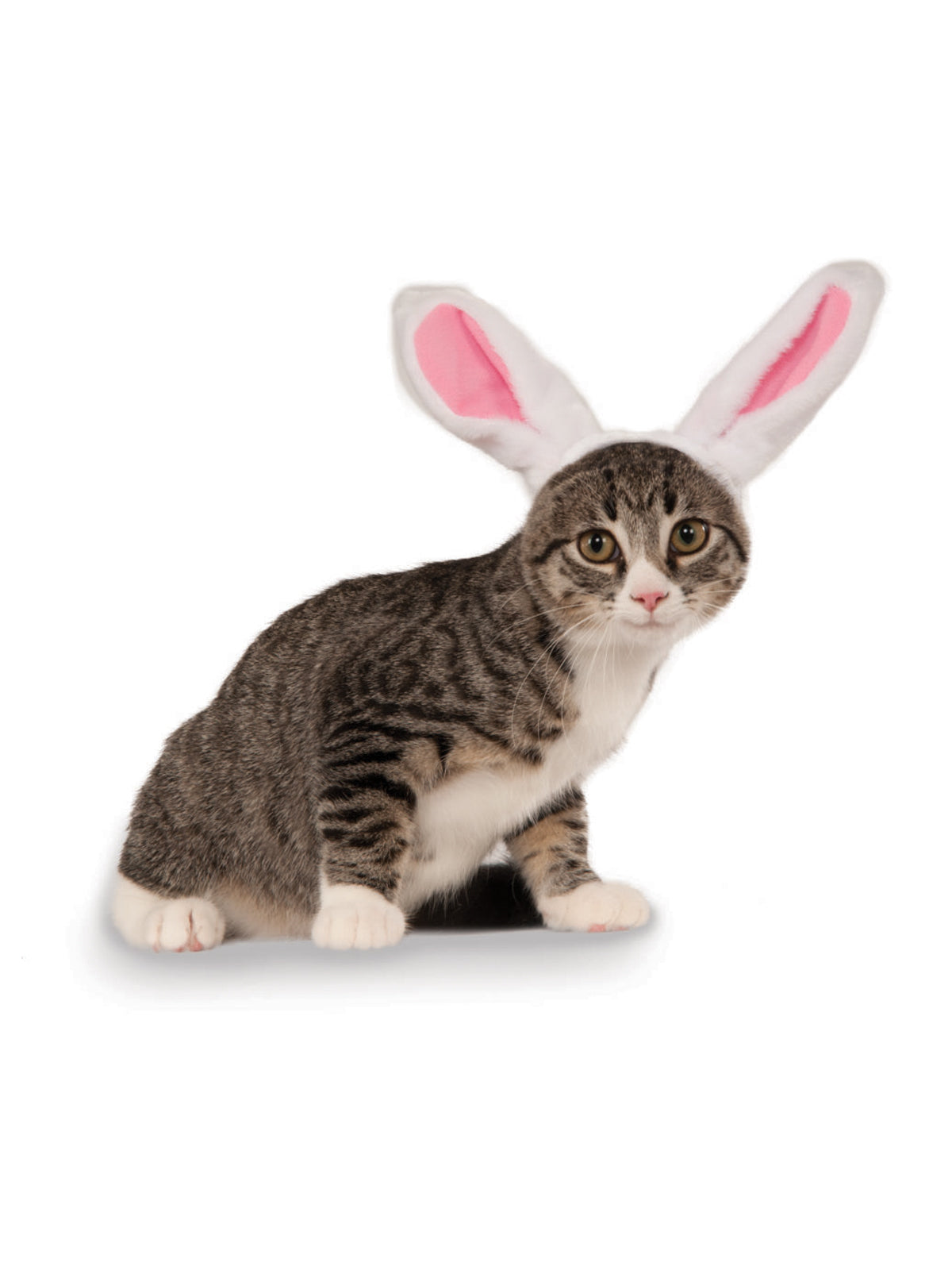 Tabby cat wearing the plush white bunny ears headband with pink inserts