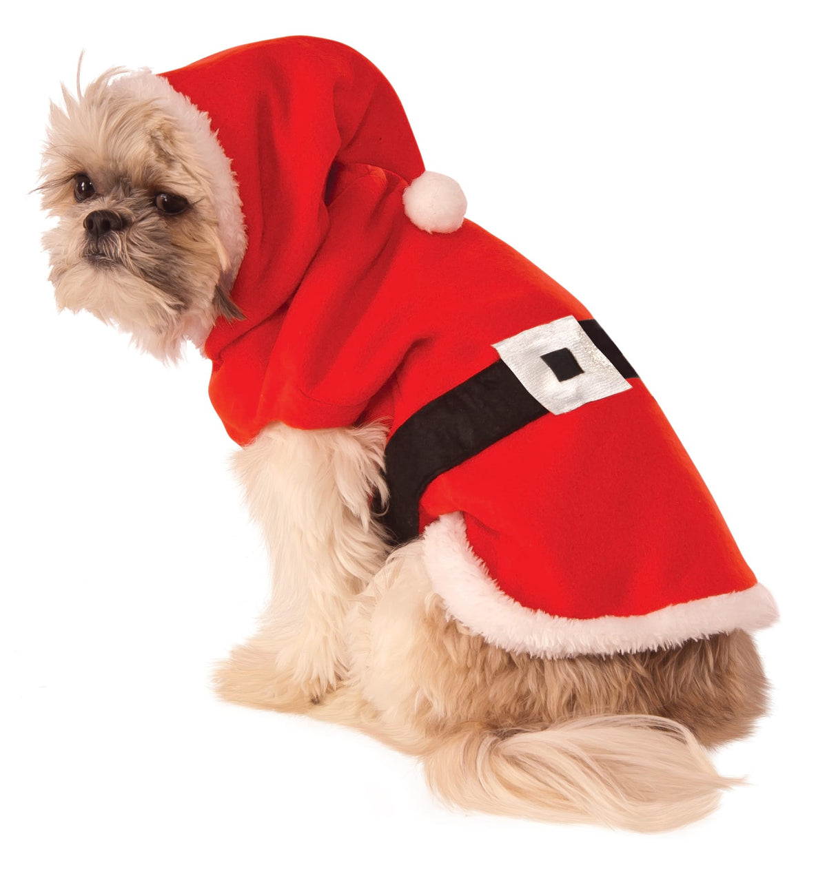 Small dog in the red fleece Santa Claus pet costume with white fur trim, black belt and hood