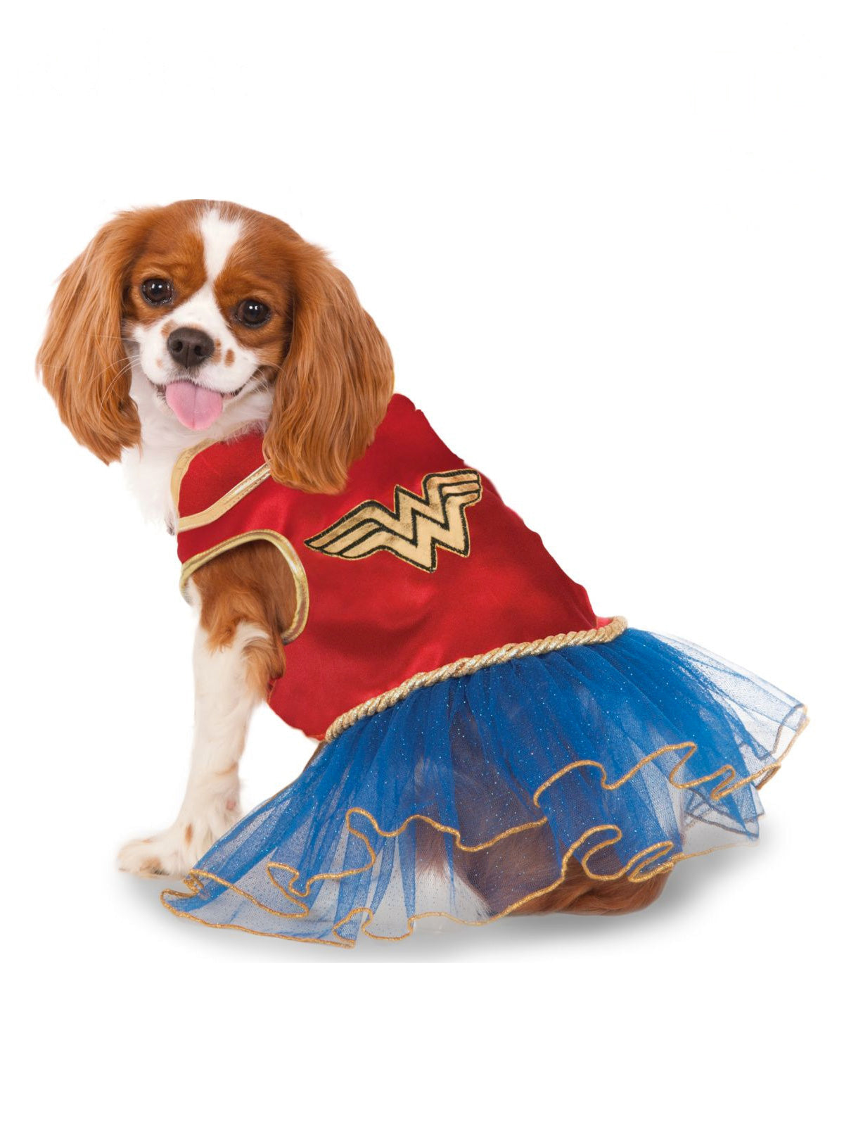 Cavalier dog in the Wonder Woman pet tutu dress, red top with gold emblem and blue tulle tutu