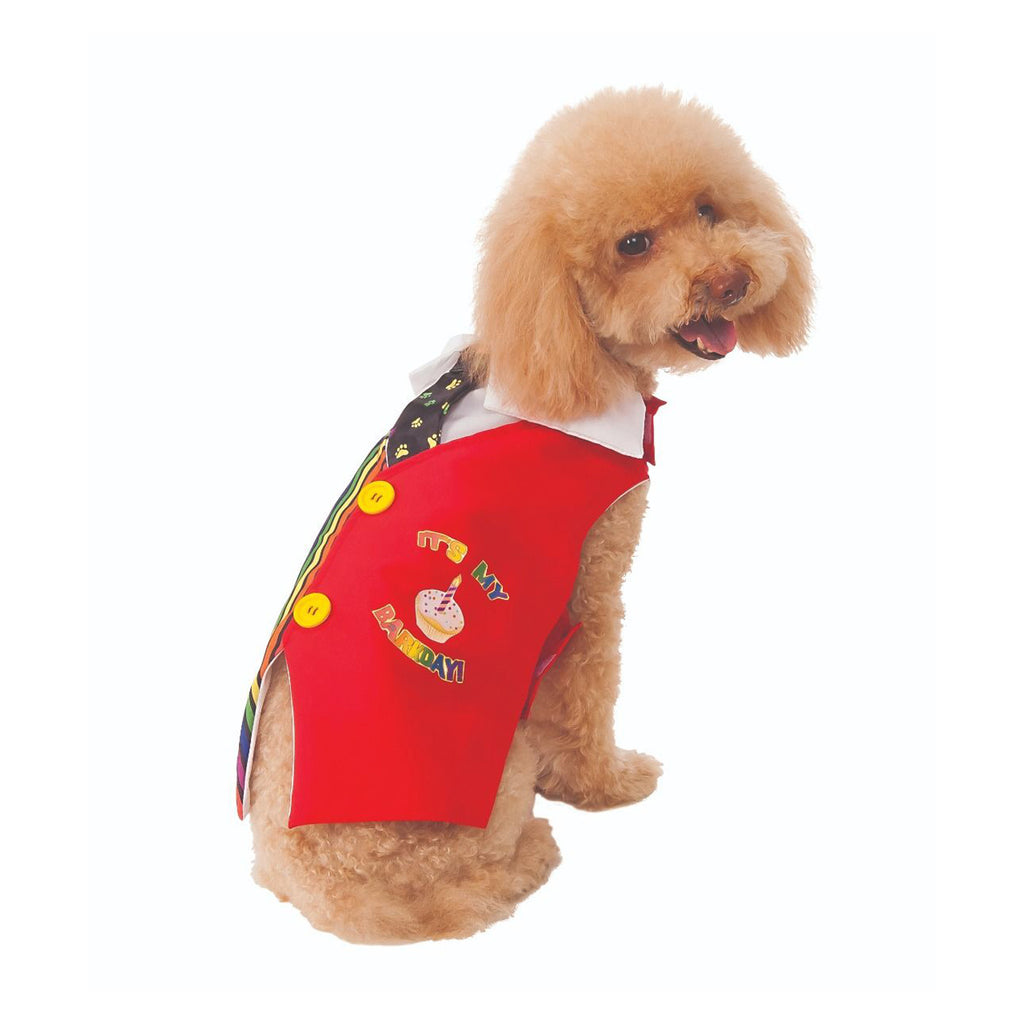 Poodle wearing the red Barkday birthday vest with printed cake and candles