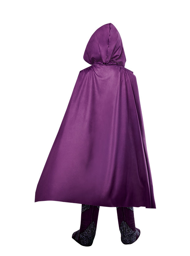 Back view of the He-Man: Skeletor Masters Of The Universe Costume, Child, showing the hooded cape