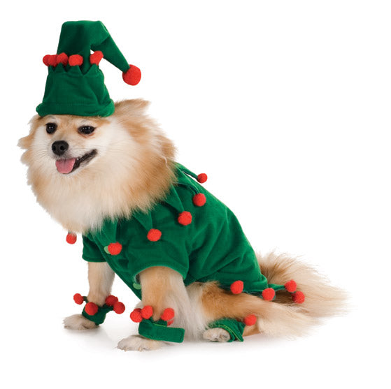 Fluffy dog in the green Christmas elf pet costume with matching hat, leg cuffs and red pom poms