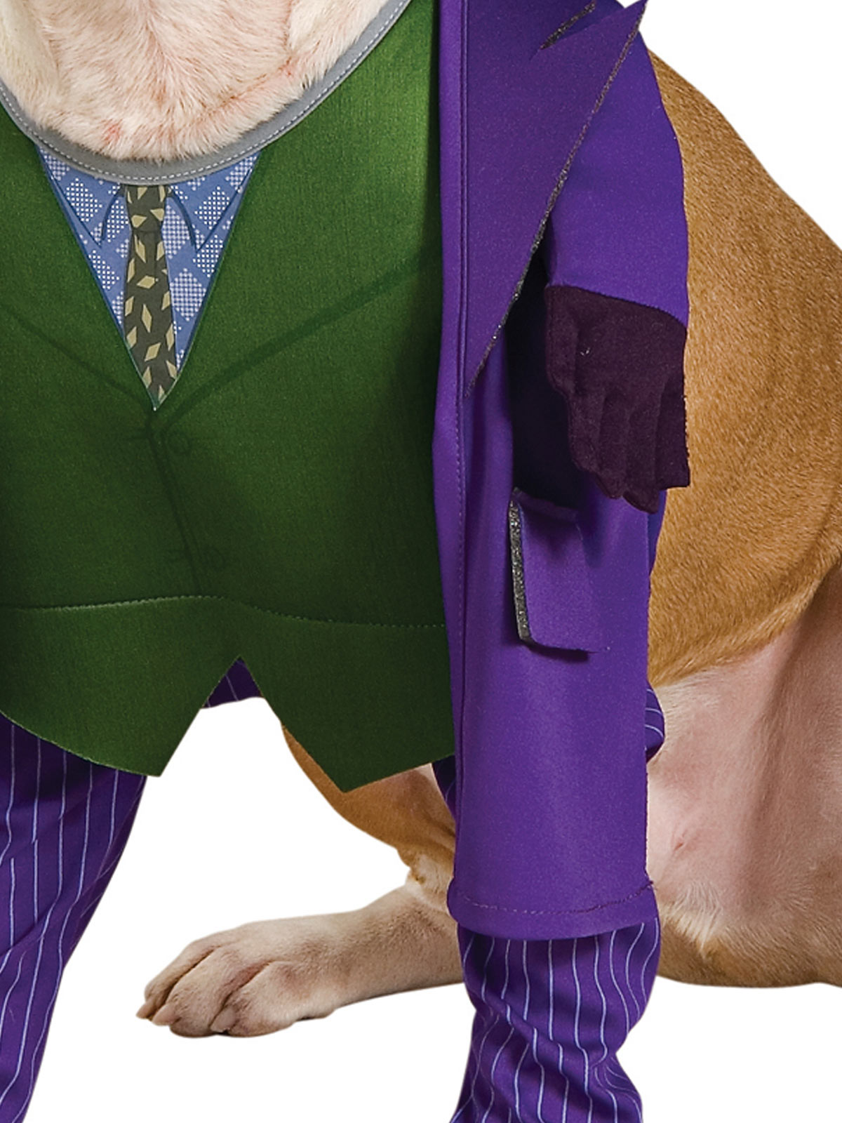 Close-up of The Joker pet costume's green vest, printed tie, purple jacket and pinstripe legs