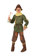 Child in a Wizard of Oz Scarecrow costume with green straw-print top, patched boot-top pants, floppy hat and diploma