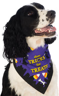 Spaniel wearing the purple Halloween pet bandana printed Does Tricks For Treats