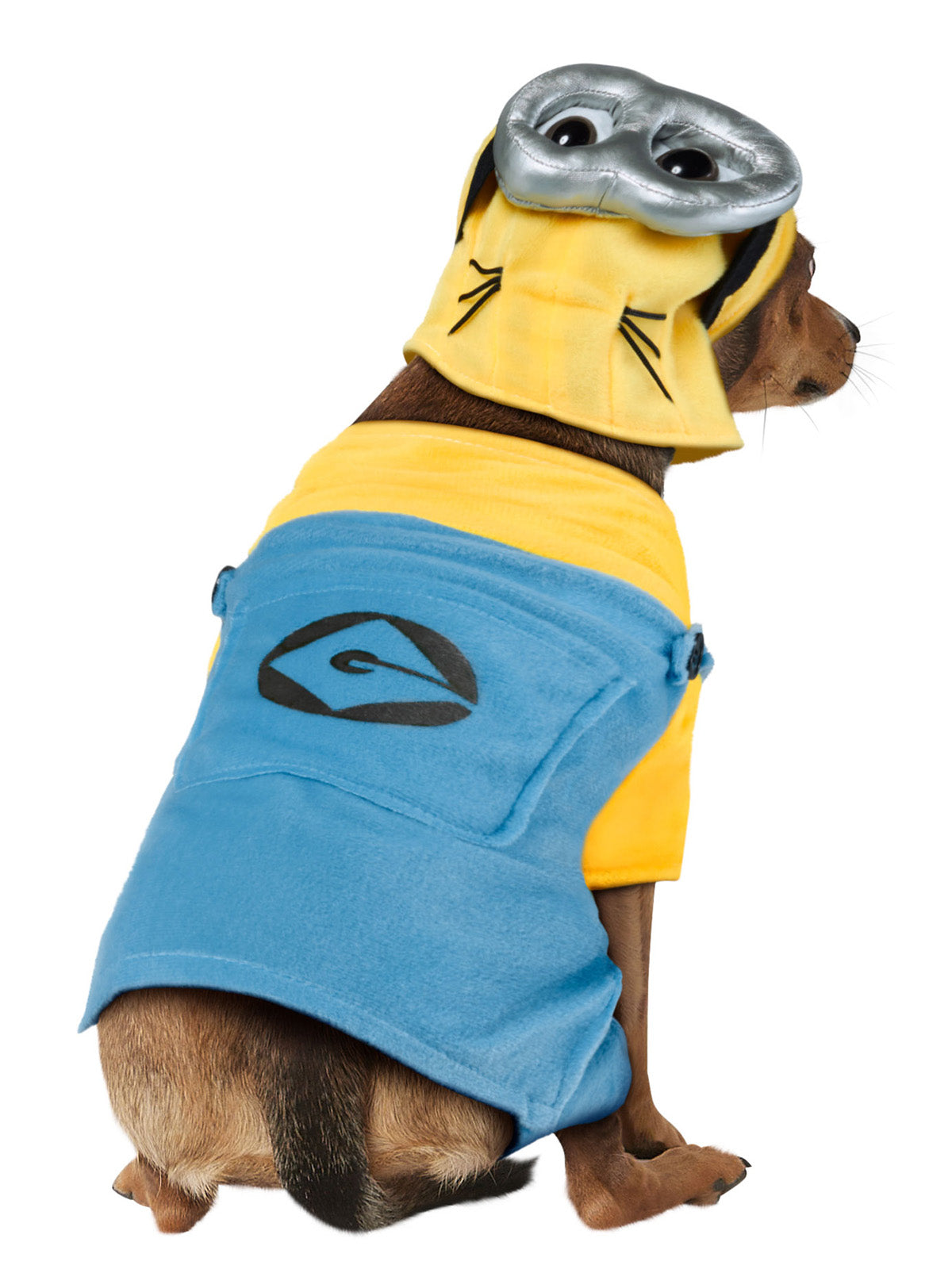Back view of a dog in the Minion pet costume with goggles headpiece and blue dungarees