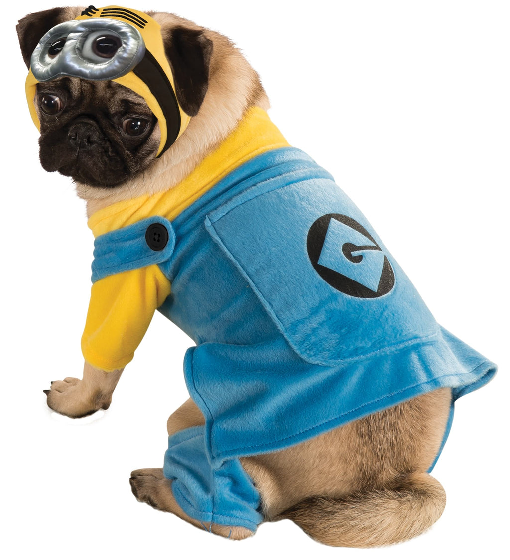 Pug in the Minion pet costume, blue dungaree jumpsuit with logo, yellow top and goggles headpiece