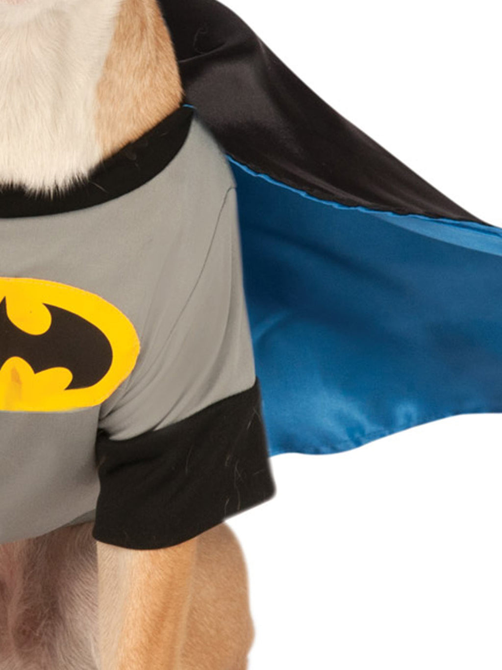 Close-up of the Batman Deluxe pet shirt and satin cape with blue lining