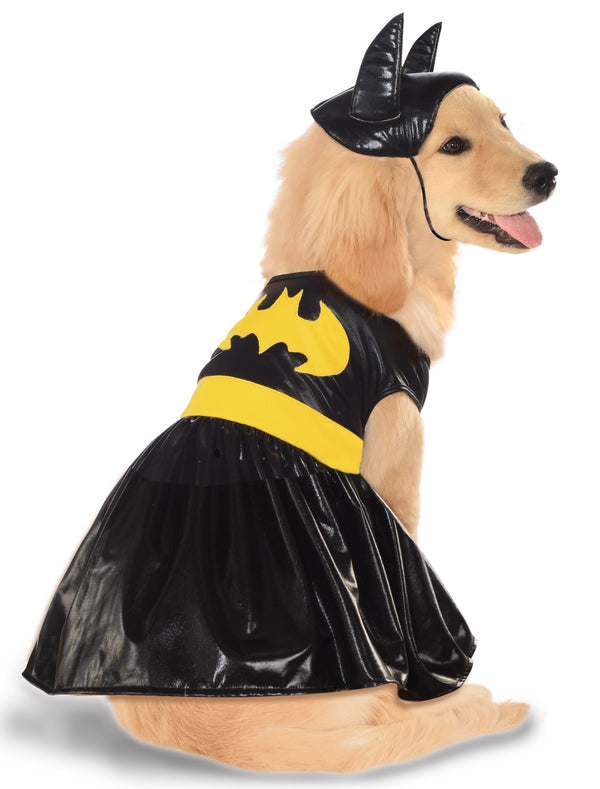 Golden retriever in the Batgirl pet costume, shiny black dress with yellow bat emblem, belt and bat-ear headpiece