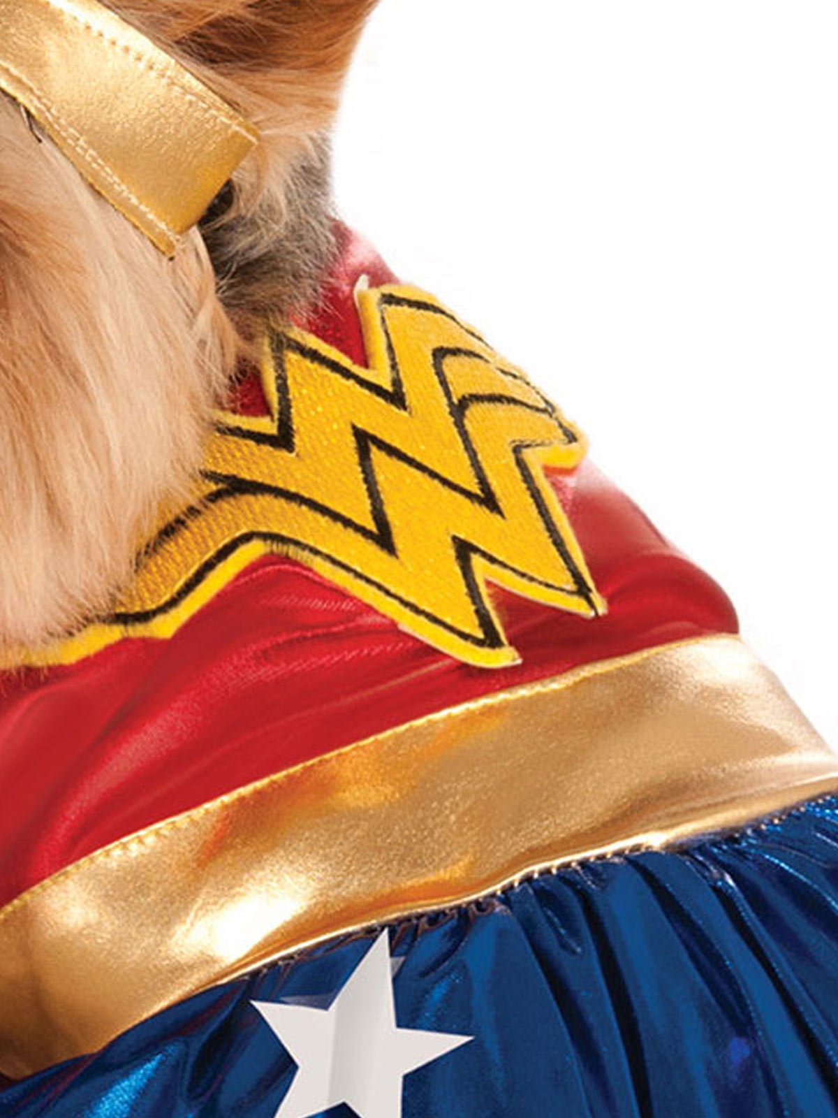 Close-up of the Wonder Woman pet dress showing the gold emblem, gold belt and blue star skirt
