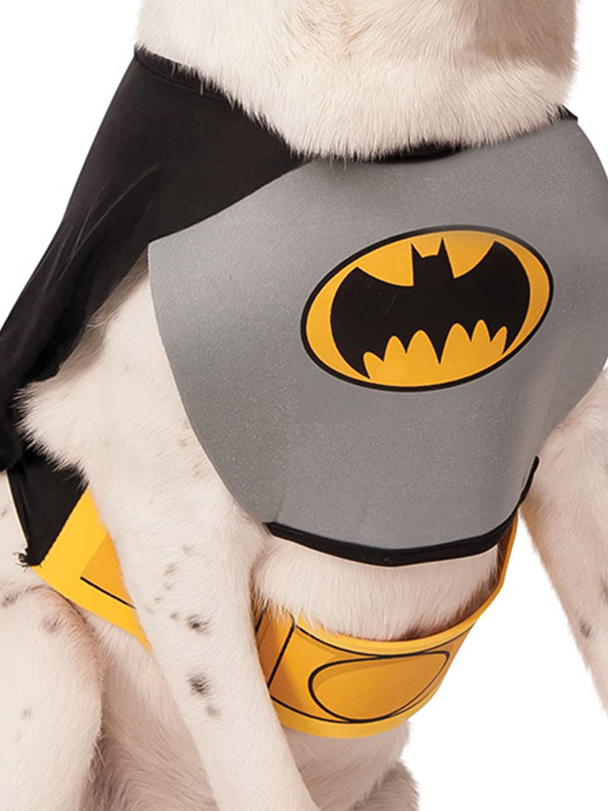 Close-up of the Batman Classic pet chest piece with bat emblem and yellow utility belt