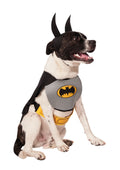 Dog in the Batman Classic pet costume, grey chest piece with bat emblem, black cape, yellow belt and bat-ear headpiece